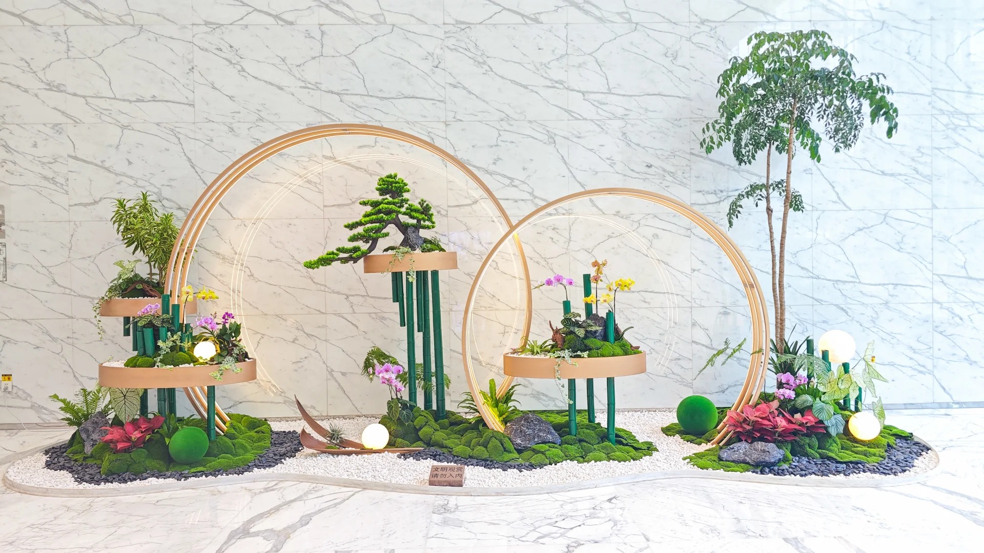 专业盆景租摆,宁波江北打造独特景观